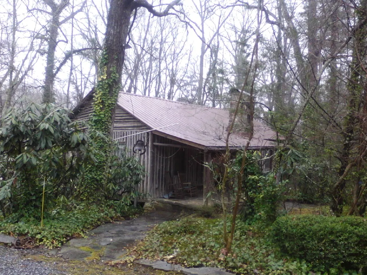 Weathered metal roof on an old board sided cabin in the woods in Fountain Valley
